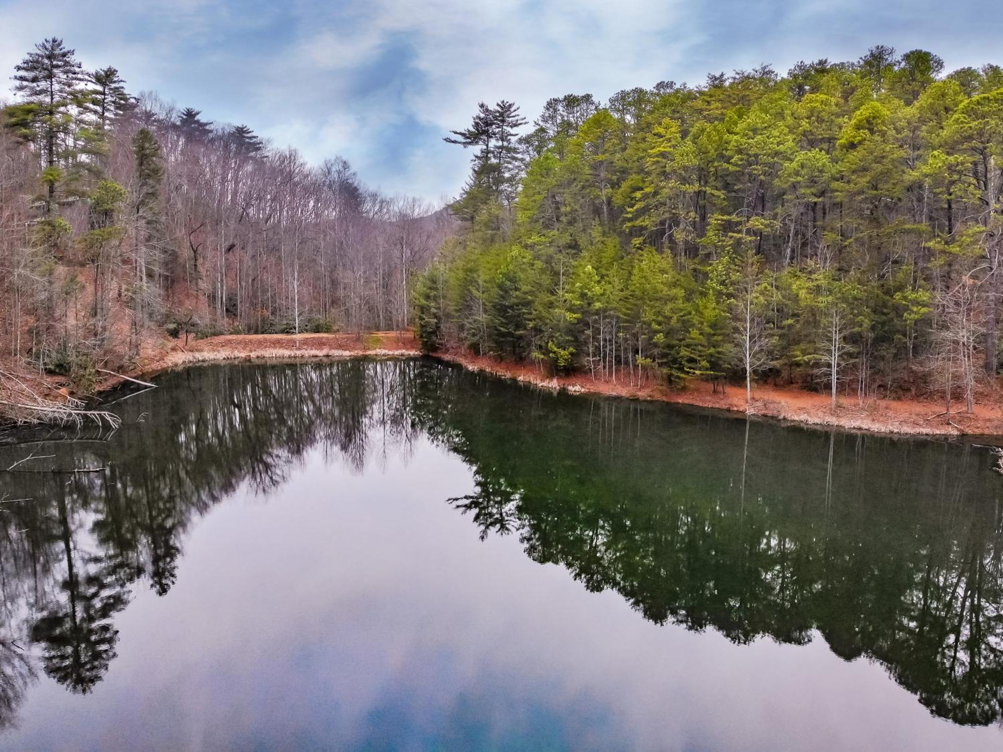 Alpine Joy-Hot Tub, Pond Access ,1089 Of Free Tickets For Each Paid Day, Dollywood And More! Townsend Cameră foto