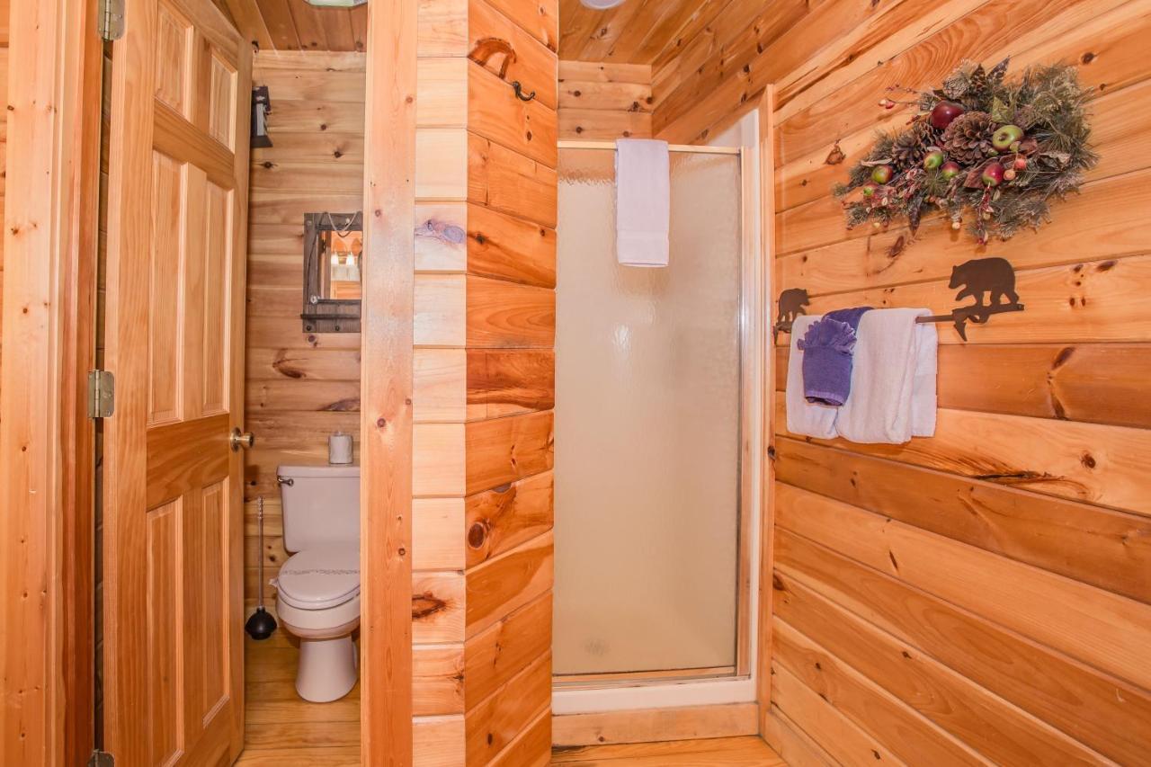 Alpine Joy-Hot Tub, Pond Access ,1089 Of Free Tickets For Each Paid Day, Dollywood And More! Townsend Exterior foto